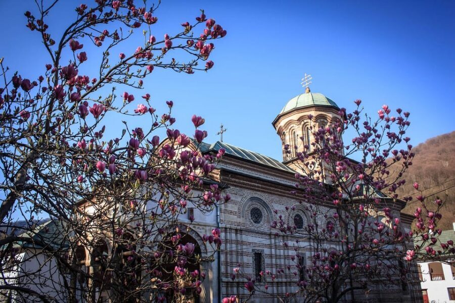 From Bucharest: Unravel Medieval Transylvania in 3-Day Tour - A fair heads-up on lodging expectations in Brasov
