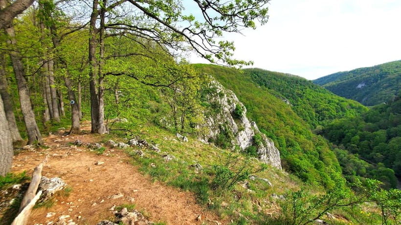 From Cluj: Gorges of Crisul Repede River - Guided gorge hiking through the Crisul Repede: viewpoints, shade, and real footing