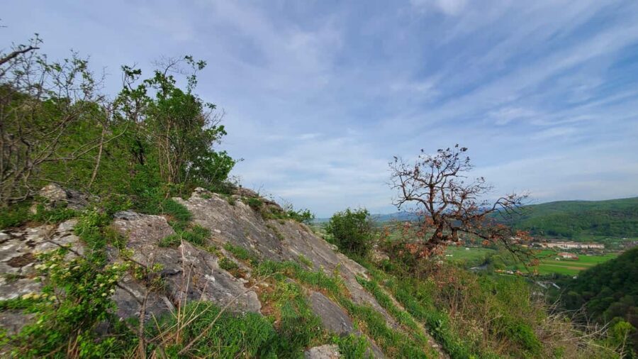 From Cluj: Gorges of Crisul Repede River - Şuncuiuş zipline and the return walk: a fun rhythm shift