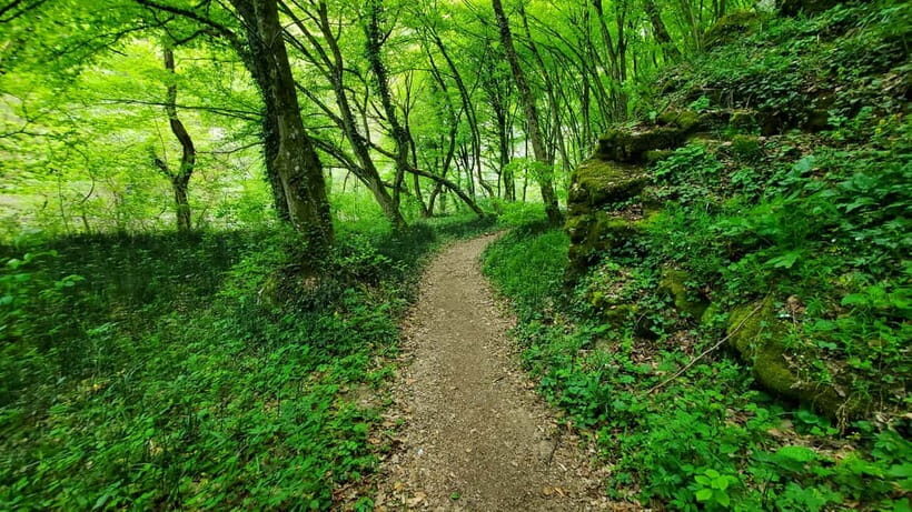 From Cluj: Gorges of Crisul Repede River - What to pack and who should skip this hike