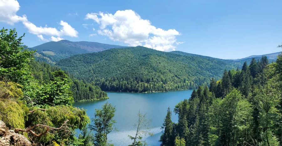 From Cluj: Mountain Bike around Lake Dragan - Where Lake Dragan Turns Into Trail Time