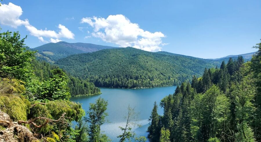 From Cluj: Mountain Bike around Lake Dragan - Meeting in Cluj: Start at Piața Unirii