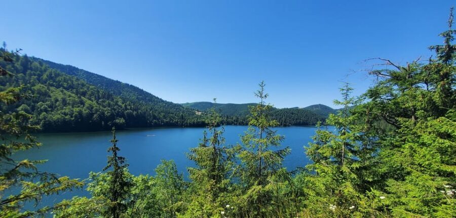 From Cluj: Mountain Bike around Lake Dragan - The Big Moment: The 200m Climb (Assistance Optional)