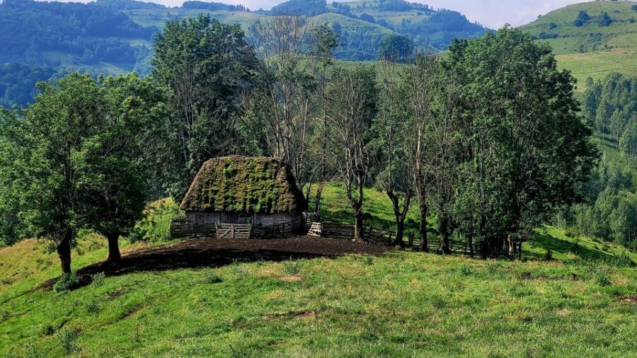 From Cluj-Napoca: Apuseni Mountains Hiking Guided Day Tour - What to bring: boots, rain gear, and layers for a mountain day