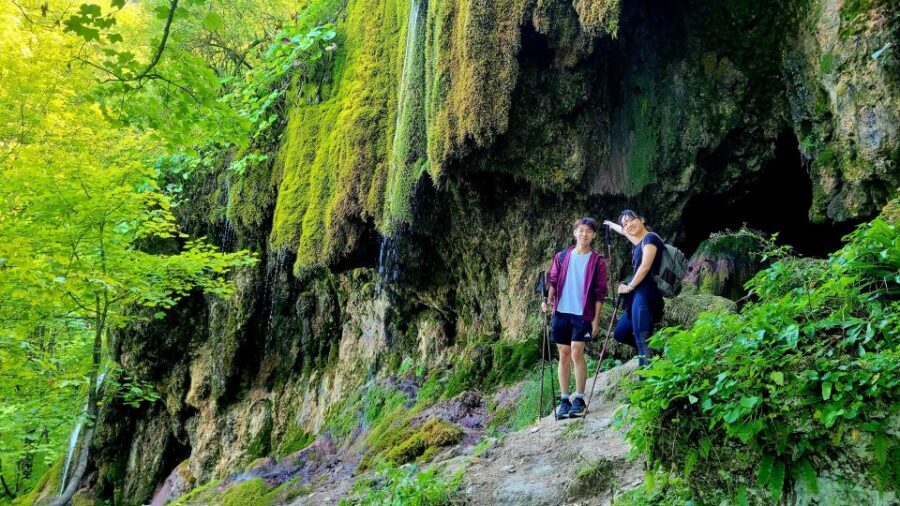 From Cluj-Napoca: Apuseni Mountains Hiking Guided Day Tour - The Apuseni Mountains day trip that mixes plants, cliffs, and a real hike