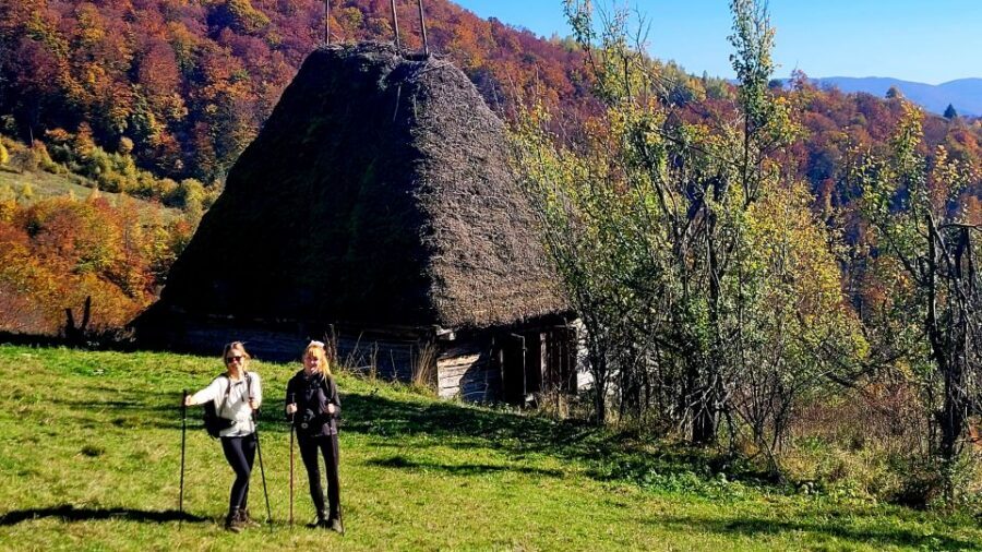 From Cluj-Napoca: Apuseni Mountains Hiking Guided Day Tour - Scarita-Belioara: how the plant and fungi focus changes the hike