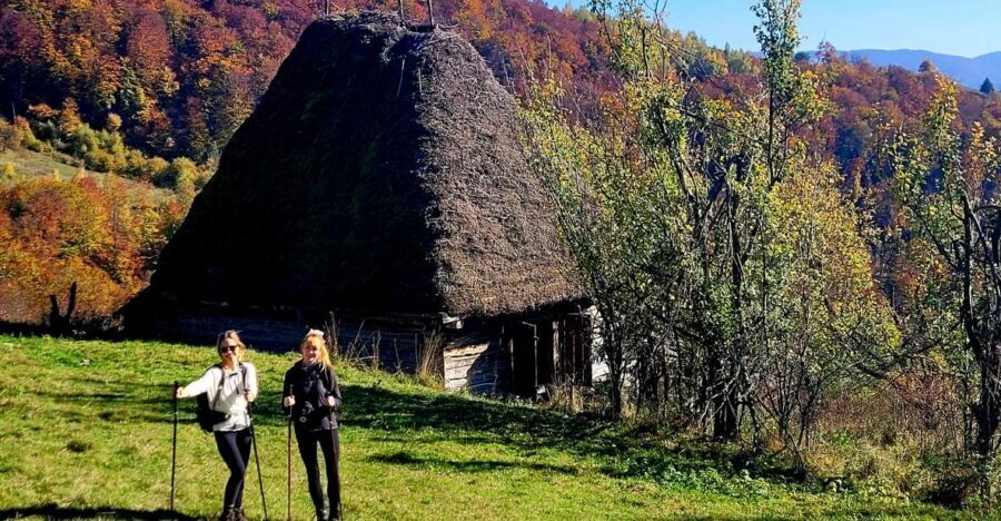 From Cluj-Napoca: Apuseni Mountains Hiking Guided Day Tour - Golden eagle cliffs and butterfly country: fauna you can spot from the right spots
