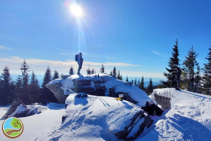 From Cluj: Winter Walking Trip on the Great Mountain - Key points before you go
