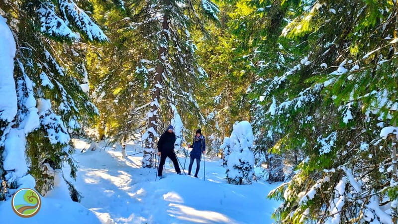 From Cluj: Winter Walking Trip on the Great Mountain - Carpathian Snowshoes From Cluj: The Great Mountain Setup