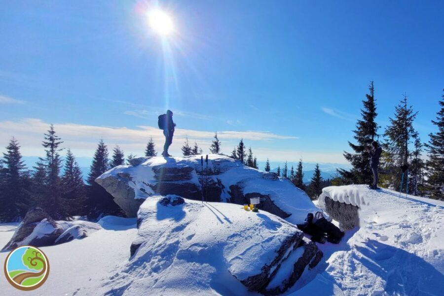 From Cluj: Winter Walking Trip on the Great Mountain - Who This Trip Is Best For (and Who Should Skip It)
