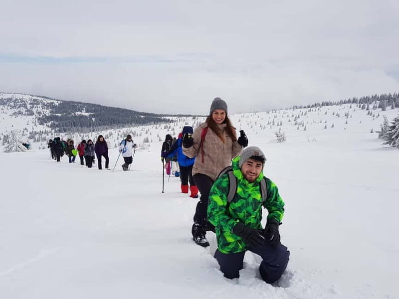 From Cluj: Winter Walking Trip on the Great Mountain - Should You Book the Great Mountain Winter Walking Trip?