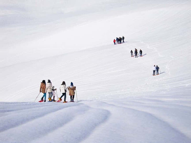 From Cluj: Winter Walking Trip on the Great Mountain - Getting Fitted With Snowshoes That Actually Work on Deep Snow