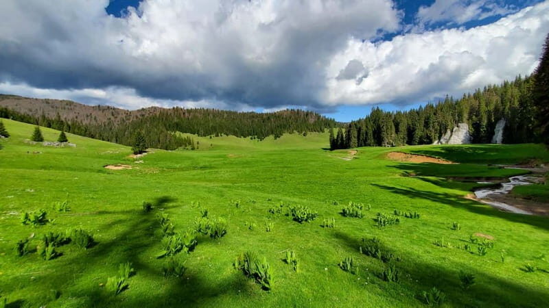 From Oradea: Apuseni Mountains Guided Hiking Tour - Key points before you go