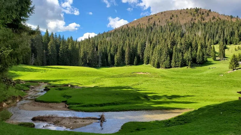 From Oradea: Apuseni Mountains Guided Hiking Tour - Apuseni Mountains from Oradea: why this hike feels worth your time