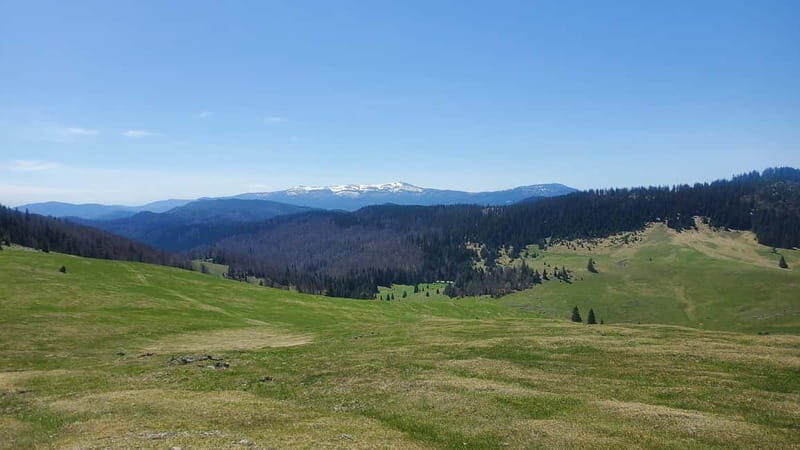 From Oradea: Apuseni Mountains Guided Hiking Tour - The walking reality: 3–4 hours on trail and up to 1,000m gain