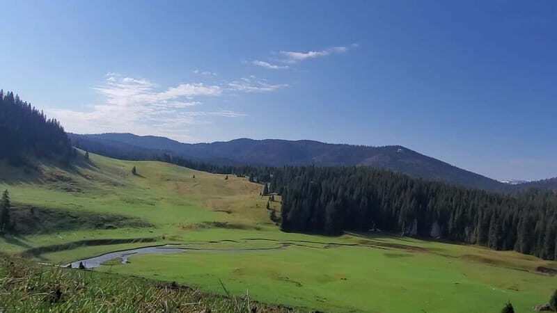 From Oradea: Apuseni Mountains Guided Hiking Tour - Meeting shepherds and protective dogs without stress