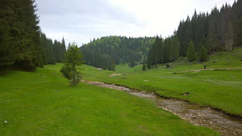 From Oradea: Apuseni Mountains Guided Hiking Tour - Guides and pacing: why Marcel’s style matters