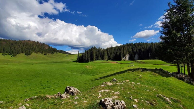 From Oradea: Apuseni Mountains Guided Hiking Tour - Price and what you’re really buying for $93