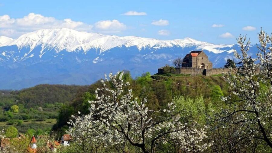 From Sibiu: Blue Line & City Tour Sighisoara - UNESCO - Why Sighișoara Works So Well From Sibiu