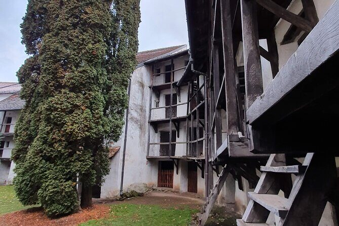 Harman and Prejmer Fortified Churches Tour from Brasov - Starting in Brasov: Where You Meet and What the Day Feels Like