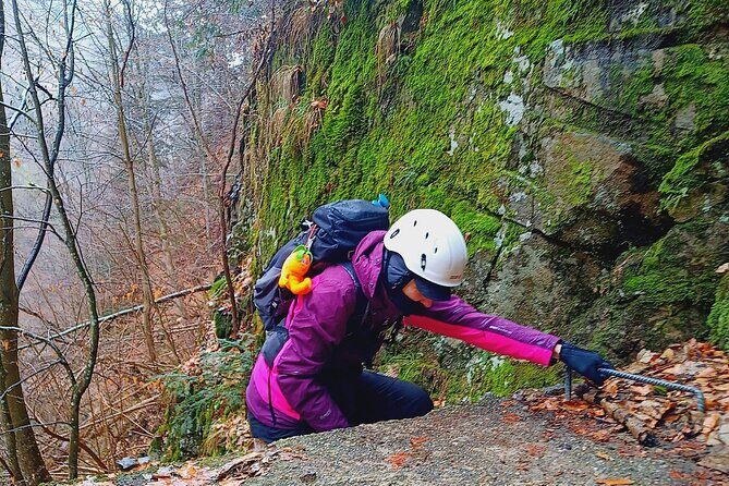 Hiking in the Transfagarasan’s Stan Valley of Carpathians - Guide Quality: Clear Communication, Stories, and a Steady Safety Rhythm