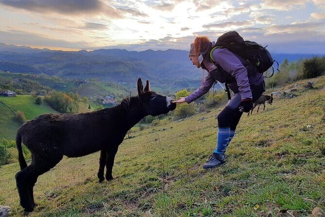 Hiking thought the best mountain villages in Romania-Private tour from Brasov - FAQ
