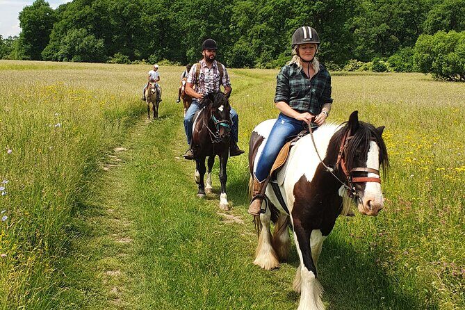 Horseback riding adventure tour through Brasov landscape - Key Things I’d Book This For
