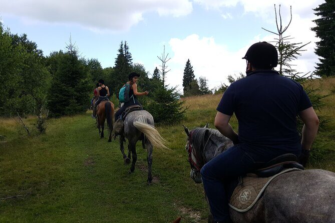 Horseback riding adventure tour through Brasov landscape - From Brasov to the Ranch: How the Morning Actually Flows