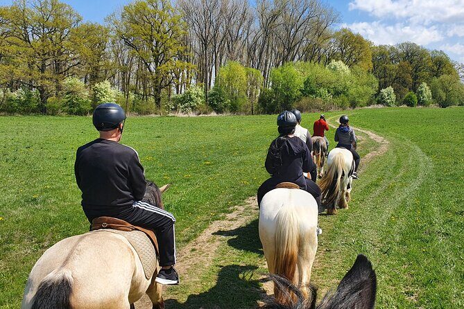 Horseback riding adventure tour through Brasov landscape - The Ranch Lunch After Riding: Real Food Beats Fast Snacks