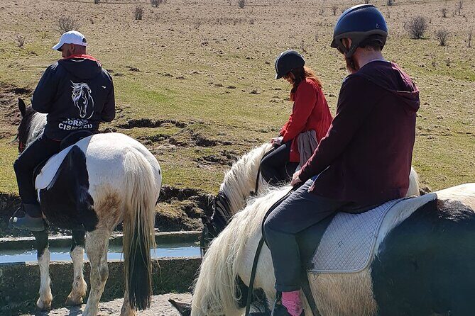 Horseback riding adventure tour through Brasov landscape - Guides That Make the Day Easier: English, Warmth, and Real Help