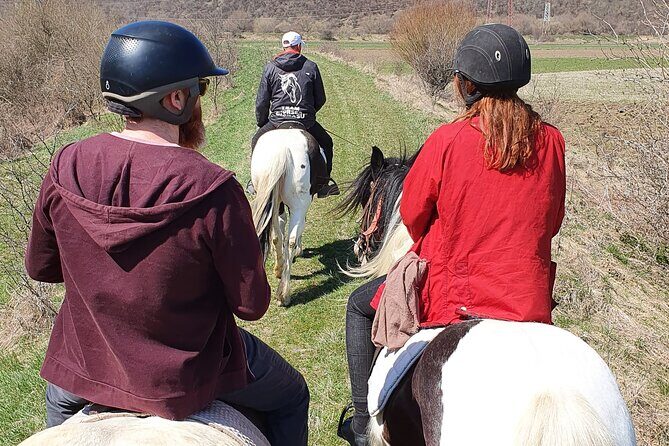 Horseback riding adventure tour through Brasov landscape - Price and Value: What $326.83 Buys in a 5-Hour Day