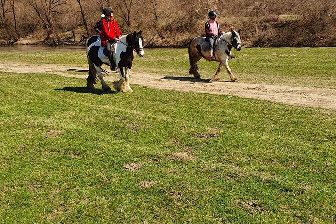 Horseback riding adventure tour through Brasov landscape - What to Bring (and What to Skip) for a Comfortable Ride