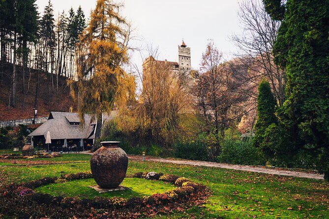 Legends&Wildlife Awaits: Dracula's Castle & Bear Sanctuary - Key things to know before you go