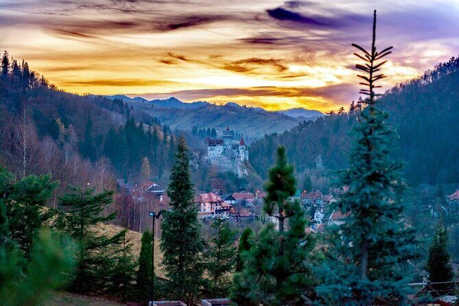 Legends&Wildlife Awaits: Dracula's Castle & Bear Sanctuary - Price and value: what $224.76 includes (and what it doesn’t)