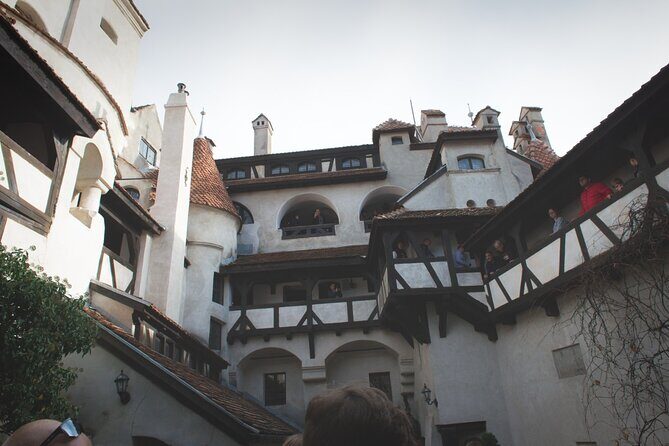 Legends&Wildlife Awaits: Dracula's Castle & Bear Sanctuary - Timing tips: how to make the day feel easier