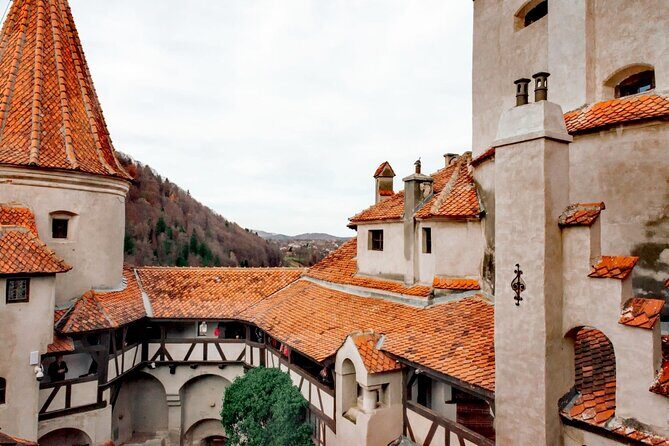 Legends&Wildlife Awaits: Dracula's Castle & Bear Sanctuary - Who this tour suits best