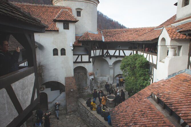 Legends&Wildlife Awaits: Dracula's Castle & Bear Sanctuary - Pickup, small group energy, and the guide effect