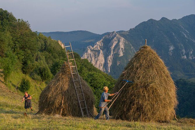 Local experience from Brasov - Transylvanian villages and Bran Castle - Key highlights in plain terms