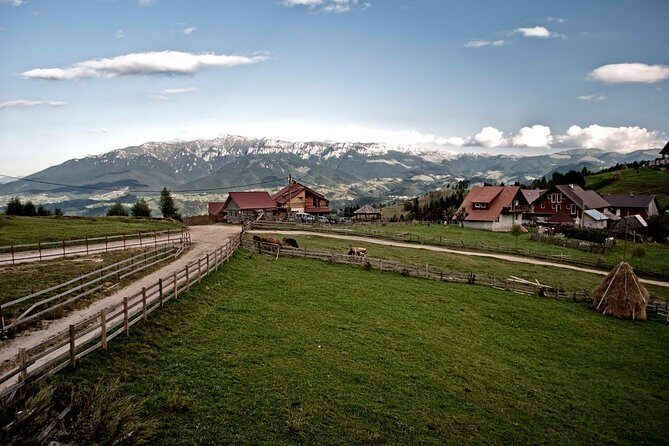 Local experience from Brasov - Transylvanian villages and Bran Castle - The logistics that matter: start time, group size, and timing