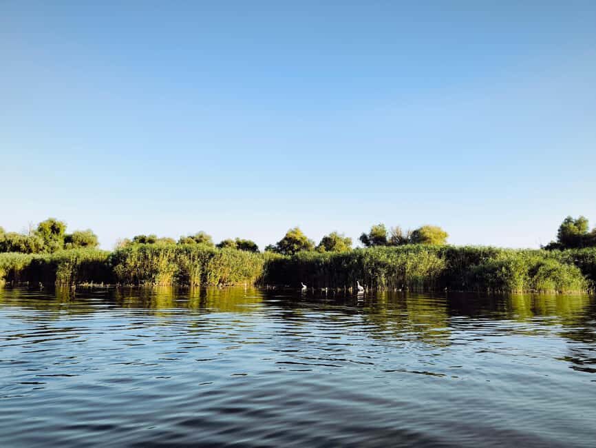 Murighiol: Danube Delta Guided Boat Tour - Murighiol to the Danube Delta: what the guided boat experience really feels like