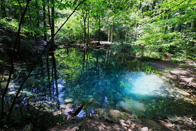 Nera Gorge National Park - Private Day Tour from Timisoara - Key highlights worth planning around