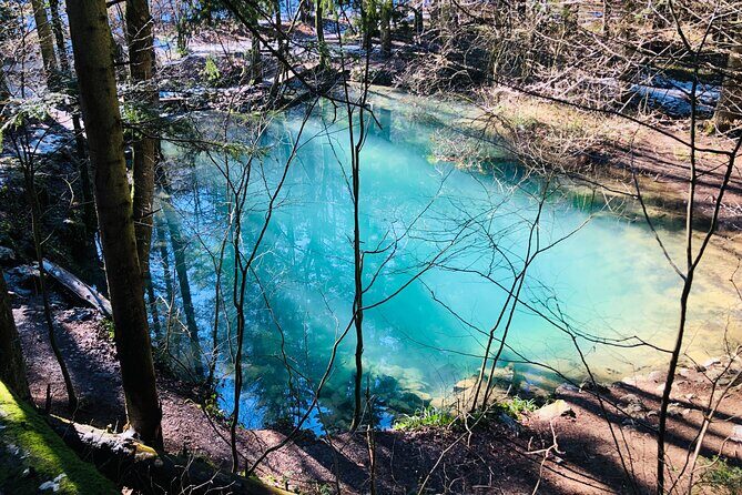 Nera Gorge National Park - Private Day Tour from Timisoara - Beușnița Waterfall: plan for seasonal water, not just a picture