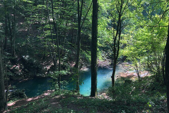 Nera Gorge National Park - Private Day Tour from Timisoara - How the private guide experience changes what you get out of the day