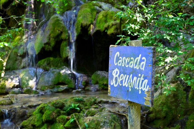 Nera Gorge National Park - Private Day Tour from Timisoara - Cheile Nerei Tunnels: the limestone maze you see before any waterfall