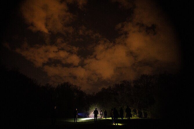 Night Tour in Hoia Baciu Forest - Stop 1: Hoia Baciu Forest and the Round Clearing (Poiana Rotunda)