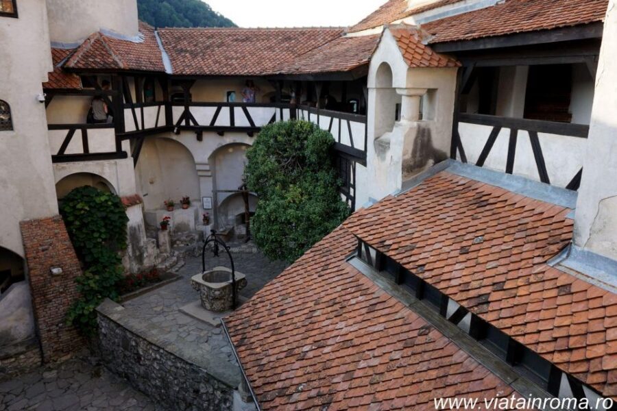 One day trip Bear Sanctuary, Dracula Castle - Photos and comfort: how to make the bear part easier