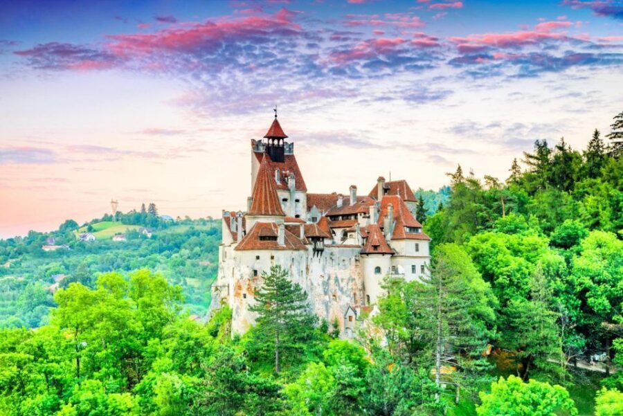 One day trip Bear Sanctuary, Dracula Castle - Pickup from Brașov: saves time, sets the tone