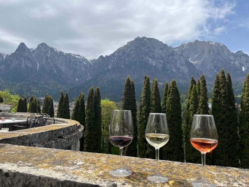 Peles & Cantacuzino Castles: Gourmet Wine & Cultural trip - Who this tour is best for (and who should skip it)