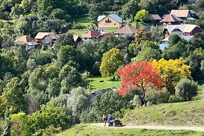 Peles castle and authentic Romanian village experience - day trip - Secăria village: local lunch and the feeling of going off the tourist path