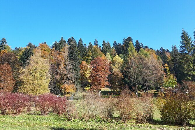Peles Castle and optional Cantacuzino Castle from Brasov - Peles Castle and Pelisor Castle: Royal Architecture You Can Compare